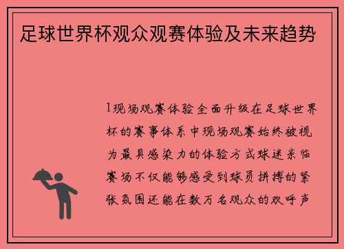 足球世界杯观众观赛体验及未来趋势